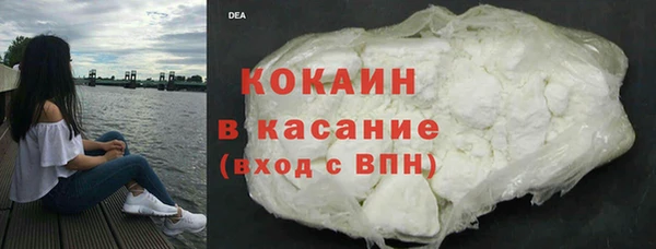 шишки Пересвет