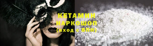 шишки Пересвет