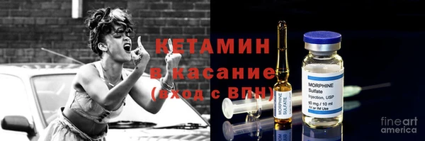 шишки Пересвет