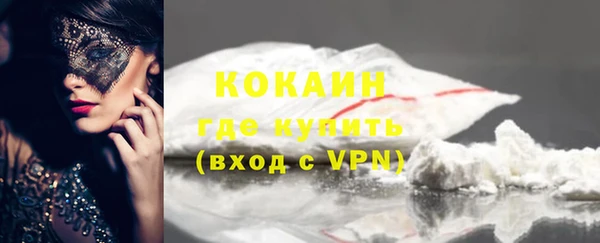 шишки Пересвет