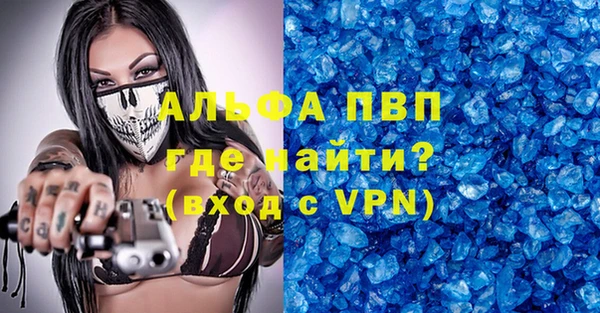 шишки Пересвет