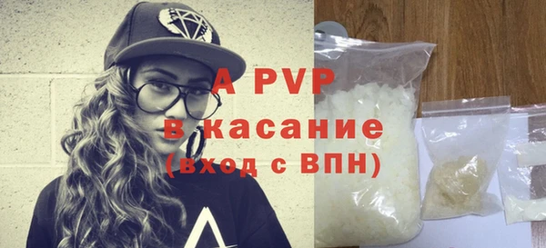 шишки Пересвет
