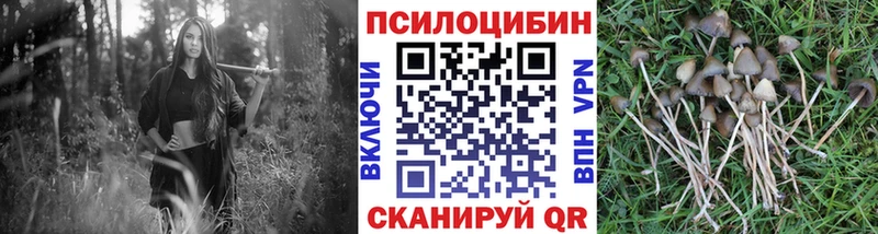 Галлюциногенные грибы Cubensis  Уржум 